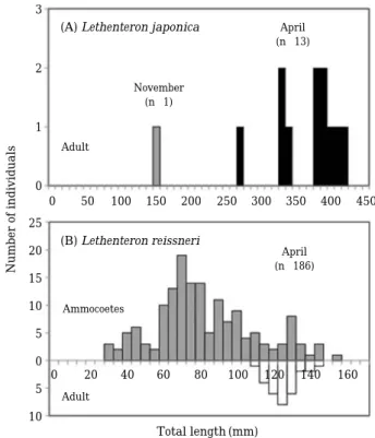 Fig. 5. Length frequency distribution of Lethenteron japo- japo-nica and  L. reissneri sampled from the Baebong Stream.Number of individuals3210050 100 150 200 250 300 350 400 450020406080100120140160