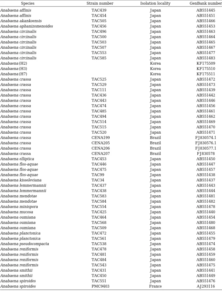Table 1. Strain number, isolation locality and GenBank number for species used in the molecular phylogenetic analysis