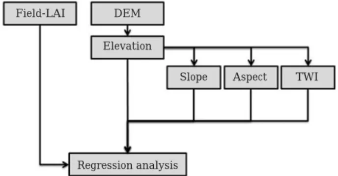Fig. 1. Processing scheme to analysis the relationship bet- bet-ween field-LAI and topographic properties.