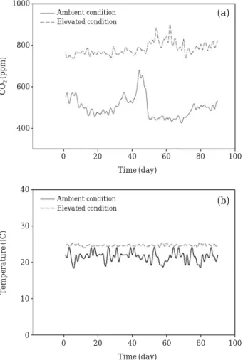 Fig. 2. CO 2 concentration (ppm) and temperature (� C) of the growth chamber under ambient and elevated conditions during the experimental period (90 days).