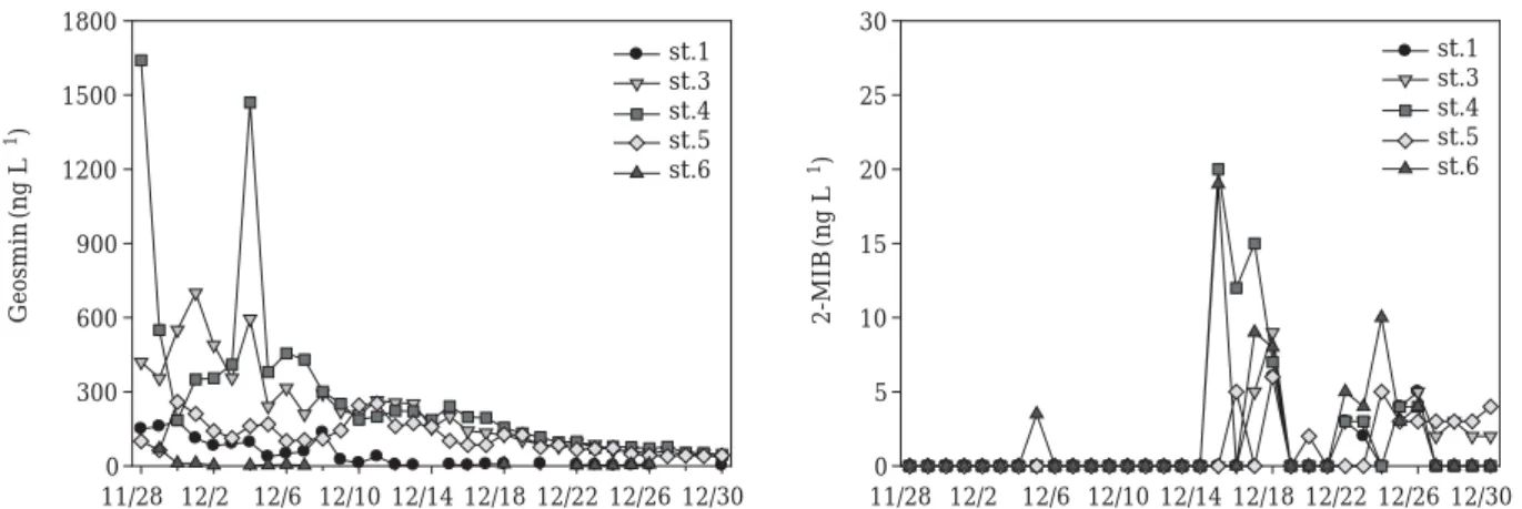 Fig. 4. Daily variation of geosmin and 2-MIB in the North-Han River.
