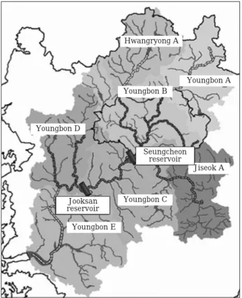 Fig. 1. Unit watersheds of the Yeongsan river basin.