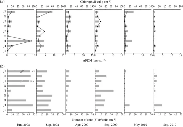 Fig. 2. Chlorophyll-a (a: line), AFDM (a: bar) and Number of cells (b) at the Joyang-river and inflow streams from Jun.
