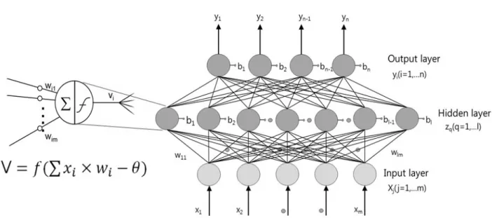 Fig. 1. Neuron and back propagation algorithm 인 기준을 제시한  연구는 진행되지 않은 상황이다.  따라서 본  연구에는 시험유역의 특성에  맞는 입력자료 구성을 찾기 위해 입력  자료의 변화에 따른 예측 정확도를  분석하였다