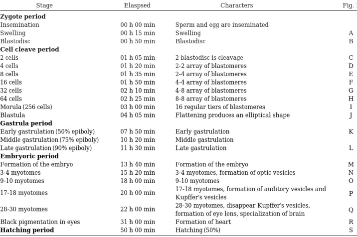 Table 1. Egg development of Iksookimia koreensis at water temperature 23� C.