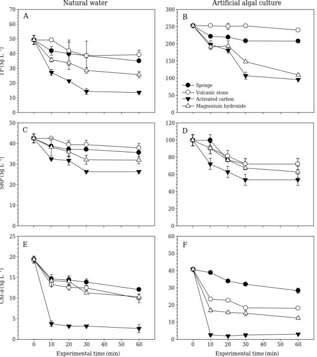 Fig. 4. Change of phosphorus and Chl-a in the two eutrophic water samples (natural water and artificial algal culture) by four types of media (sponge, volcanic stone, magnesium hydroxide and activated carbon).