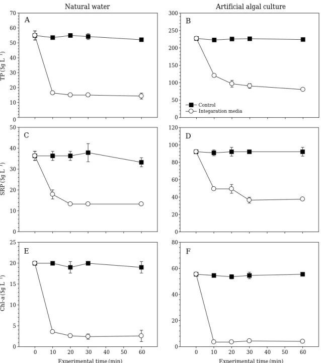 Fig. 5. Change of phosphorus and Chl-a in the two eutrophic water samples (natural water and artificial algal culture) by different combinations of four types of media (sponge, volcanic stone, magnesium hydroxide and activated carbon).