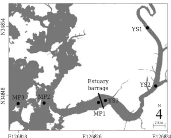 Fig. 1. Map showing the sampling stations in the Youngsan River estuary and Mokpo coastal areas.