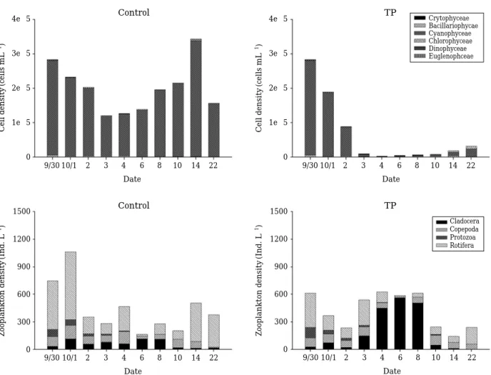 Fig. 3. Cell density of phytoplankton and zooplankton classes in each mesocosms (C: control, TP: I