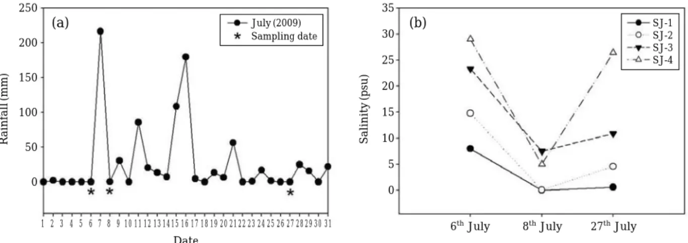 Fig. 3. Variation in primary productivity and chl a specific productivity and euphotic zone depth in the Seom-jin estuary during the rainy season: (a) Primary productivity, (b) Chl a specific productivity, (c) Euphotic zone depth.