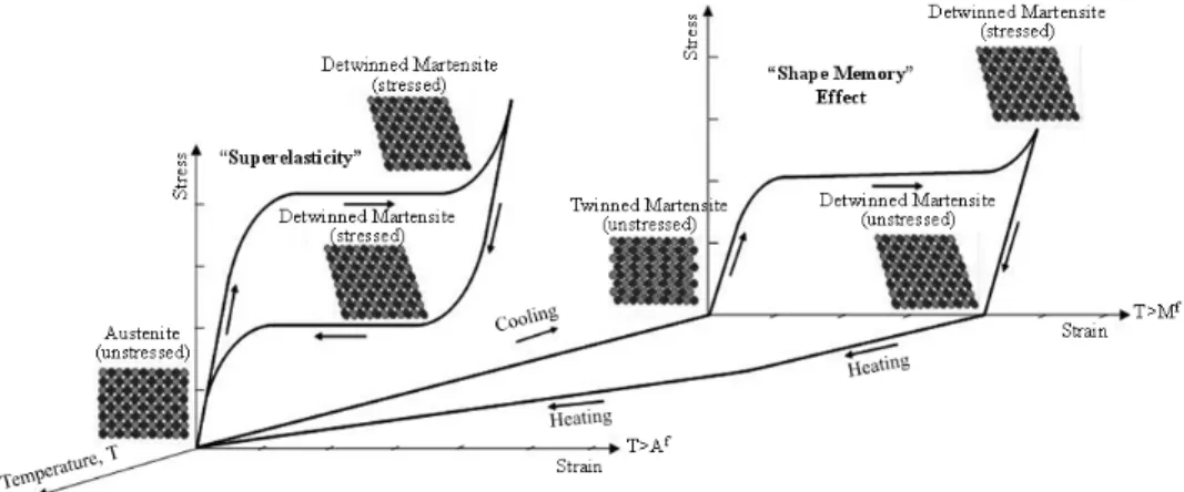 Fig. 1. Behavior of temperature-dependent shape memory alloy materials 