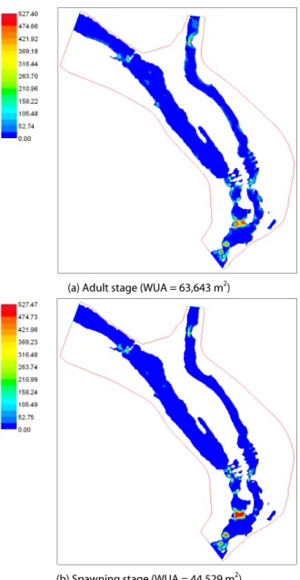 Fig. 6. WUA calculation results of Zacco temmincki in drought  flow before dredging
