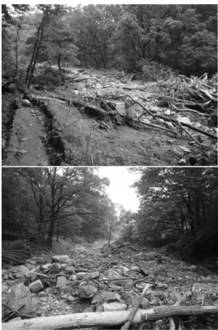 Fig. 9. Deposition thickness of debris flow computed in Hyeongchon village region