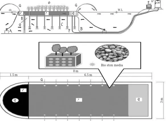 Fig. 1. Schematic representation of Purification equipment.