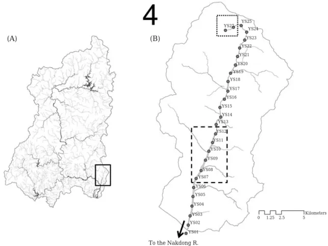 Fig. 1. Map of the study sites. A, Map of the Nakdong River basin and the location of the Yangsan stream; B, the Yangsan Stream basin and the distribution of the study sites
