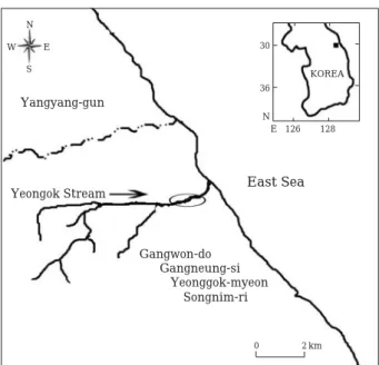 Fig. 1. Map showing the sampling station of C. pacifica in the Yeongok Stream, Gangwon-do, Korea.