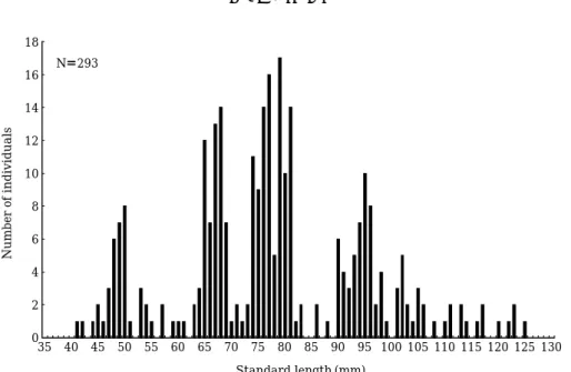 Fig. 3. Length frequency distributions of C. pacifica in the Yeongok Stream, Gangwon-do, Korea at July 2007.
