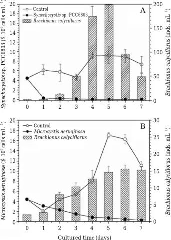 Fig. 2. Changes in B. calyciflorus while feeding on Chlo- Chlo-rella vulgaris TM (A) and Chlorella vulgaris UTEX 26 (B) as sole food sources
