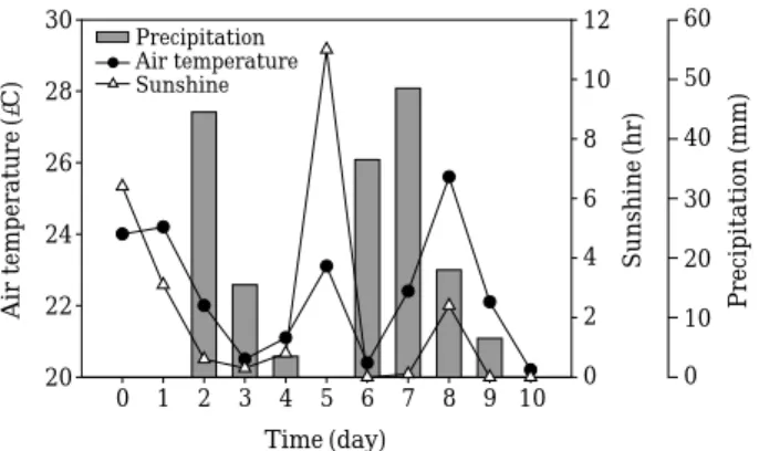 Fig. 5. Changes of temperature, sunshine duration and precipitation daily the period of enclosure  experi-ment in Lake Il-gam.