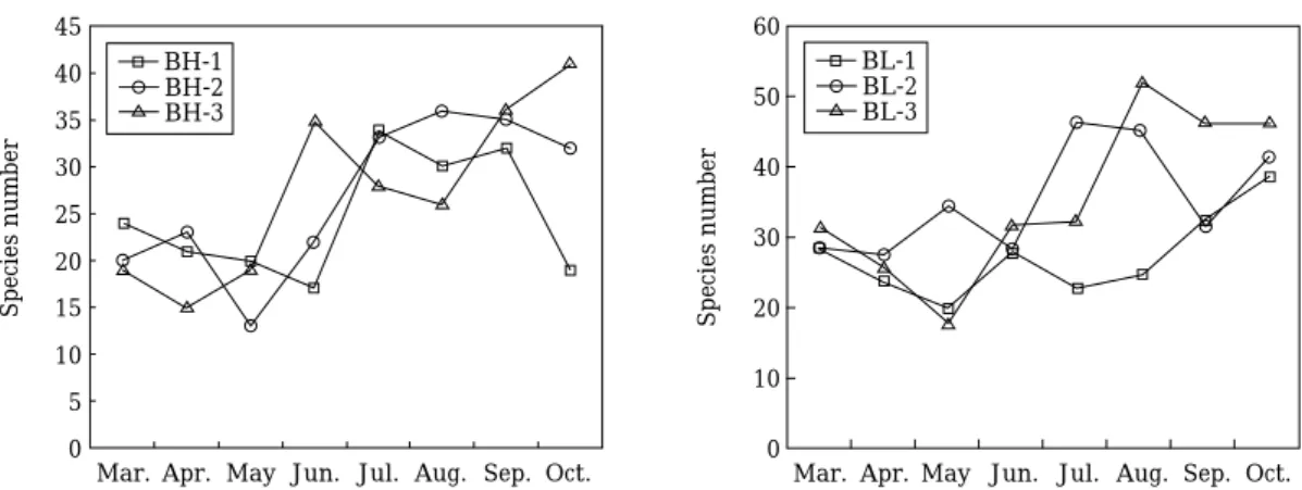 Fig. 5. Changes of chlorophyll - a concentration ( μg cm -2 ) of epiphytic diatom assemblage at Banwoul high and low wetlands in the Shiwha constructed wetland.