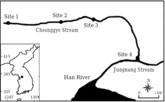 Fig. 1. Study sites in the Cheonggye Stream, Seoul, Korea.