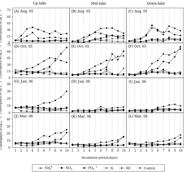 Fig. 7. Changes of chlorophyll a concentrations during the incubation period.