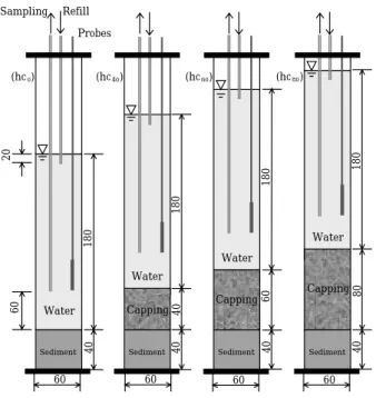 Fig. 2. Schematic of experiment conditions: hc 0 = =conta- =conta-minated sediment without capping, hc 40 =  =conta-minated sediment with 40 mm of snad capping, hc 60 = =contaminated sediment with 60 mm of snad capping and hc 80 = =contaminated sediment wi