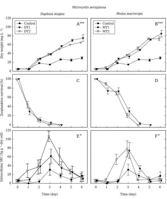 Fig. 1. Changes in dry weight, zooplankton survival rate and intracellular MC of Microcystis aeruginosa strain when directly exposed to three different densities of Daphnia magna and  Moina macrocopa (means±SE; n= =3)