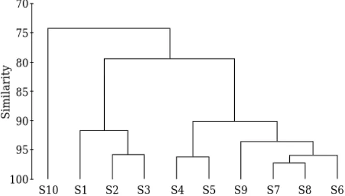 Fig. 6. The dendrogram representing the similarity among sampling sites in the Yeonsan River watershed