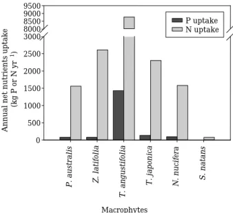 Fig. 4. The amount of yearly net phosphorus and nitro- nitro-gen uptake of macrophytes in Lake Paldang (2004).