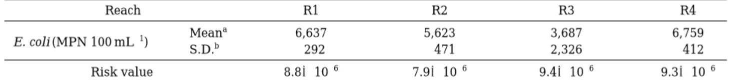 Table 5. Estimated E. coli concentrations and risk values in the Namyang Stream.