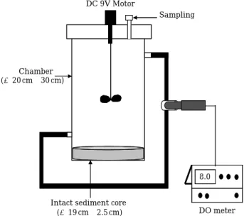 Fig. 3. Experimental apparatus of the batch system to determine P flux from the sediment.