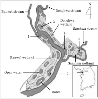 Fig. 1. Map showing the sampling stations in the Shihwa constructed wetland.
