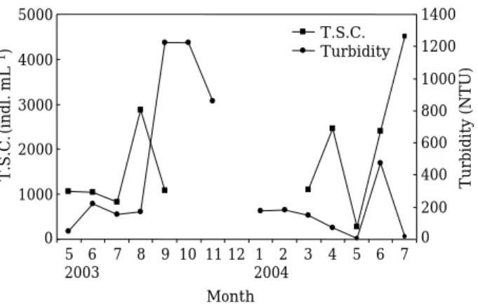 Fig. 6. Variations of total standing crop (T.S.C.) and turbidity in Lake Imha from May 2003 to July 2004