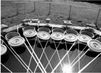 Fig. 1. Photographs of experimental mesocosm construct- construct-ed in Youkkagji pond.