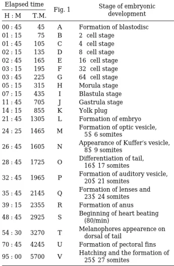 Table 3. Embryonic development of Rhinogobius brun- brun-neus under water temperature of 22±1� C.