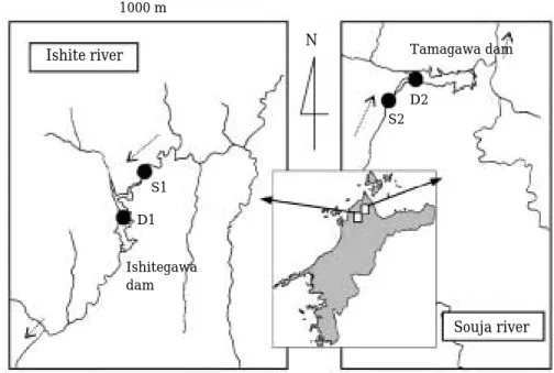 Fig. 1. Map of two watersheds and sampling sites. Broken arrows indicate the direction of flow.