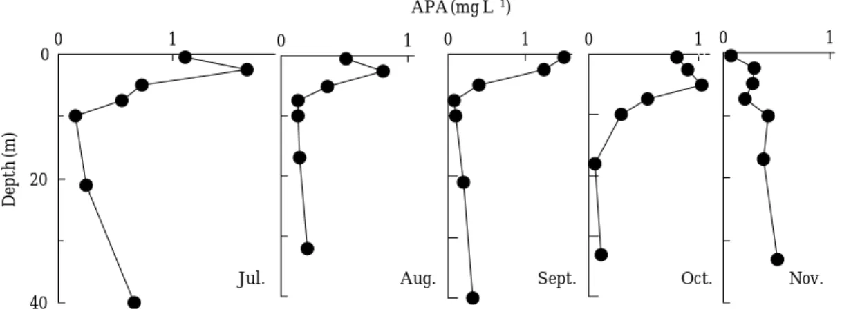 Fig. 3. Vertical profiles of alkaline phosphatase activity (APA) at Sta. D1 during July to November, 2001.