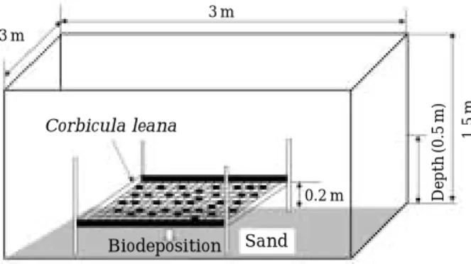 Fig. 1. A schematic description of the mesocosm. 