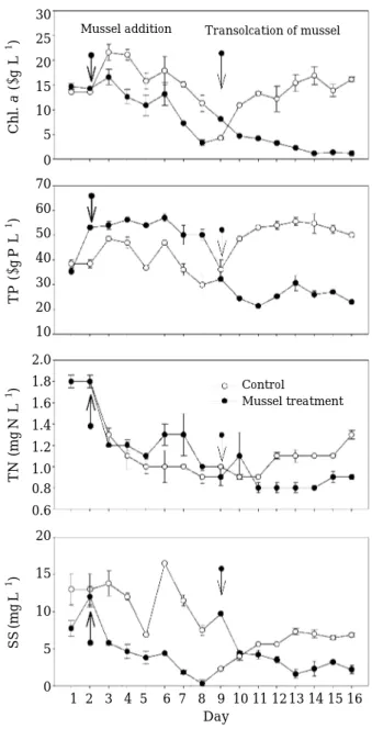 Fig. 4. Temporal change of Chl. a, TP, TN and SS in the control (without mussel) and the treatment (with mussel).302520151050706050403020102.01.81.61.41.21.00.80.620151050 1  2   3   4  5    6  7   8   9  10 11 12 13 14 15 16DayChl