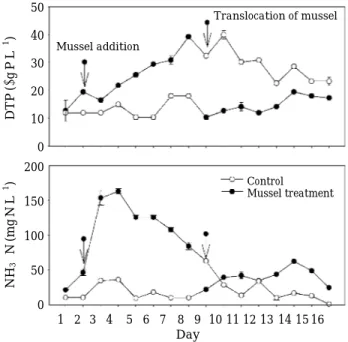 Fig. 6. Temporal changes of dissolved total phosphorus (DTP) and particulate total phosphorus (PTP) in the control (without mussel) and the treatment (with mussel)