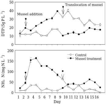 Fig. 6. Temporal changes of dissolved total phosphorus (DTP) and particulate total phosphorus (PTP) in the control (without mussel) and the treatment (with mussel)
