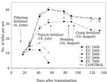 Fig. 3. Temporal changes of rice tiller number under the different salt levels of the irrigated water.
