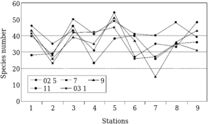 Table 3. Dominant species (%) of epilithic diatom at each sampling station in the middle reaches in the Nakdong River.