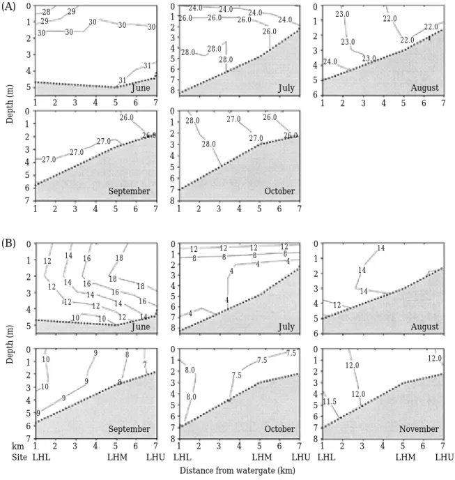 Fig. 2. Vertical and monthly variation of (A) salinity (Unit: psu) and (B) DO concentration (Unit: mgO 2 /L) in Lake Hwaong from June to November, 2002.
