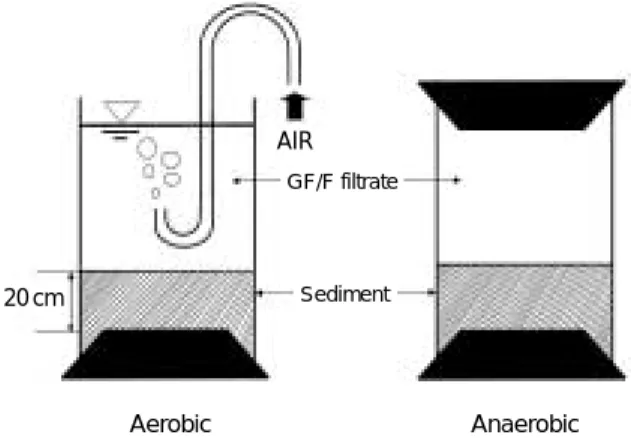 Fig. 1. Apparatus for DOC release from core-sediment.
