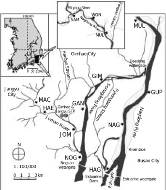 Fig. 1. Map showing the sampling stations for the sedi- sedi-ment study in the downstream of the Nagdong River