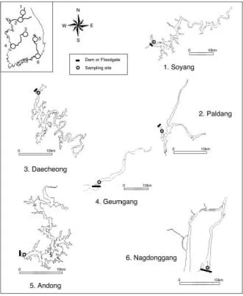 Fig. 1. Location of dam (○) and sampling sites (○).