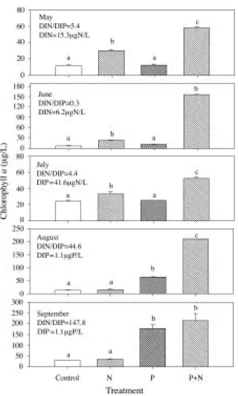 Table 2. Phosphate (PO 4 -P) release rate from Lake Ilgam sediment (upper 10 cm) under different pH (±