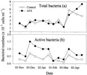 Fig. 4. The variations of β-glucosidase activities in an artificial vegetation island and a control site.